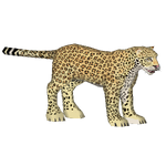 African Leopard (SilesianTomcat)