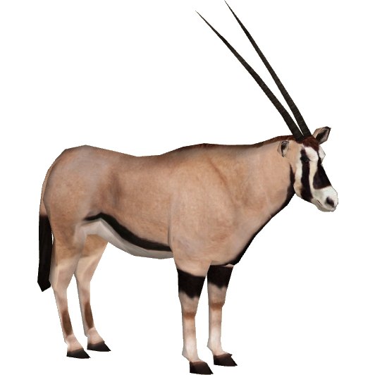 Arabian Oryx (Bonus Download) at Zoo Tycoon 2 Nexus - Mods and community