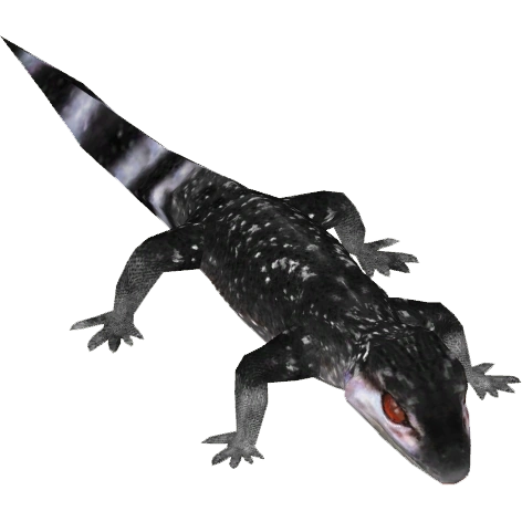 Kuroiwa's Ground Gecko (Tamara Henson) | ZT2 Download Library Wiki