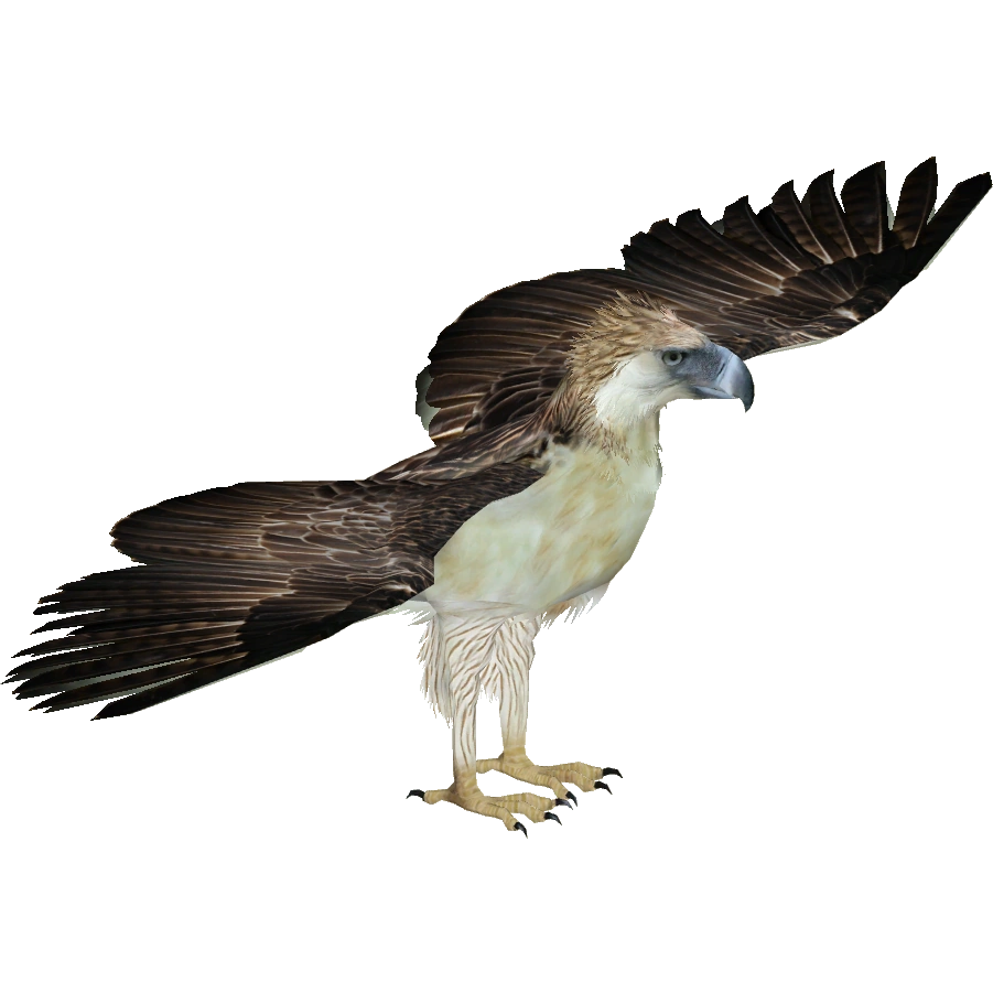 Philippine Eagle (Eryel & Zerosvalmont) | ZT2 Download Library Wiki | Fandom