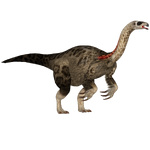 Nothronychus (Austroraptor)