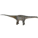 Saltasaurus (TheriDK)