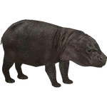 Western Pygmy Hippopotamus (Dedennedillo) (1.67 MB) Western Pygmy Hippopotamus (Dedennedillo)