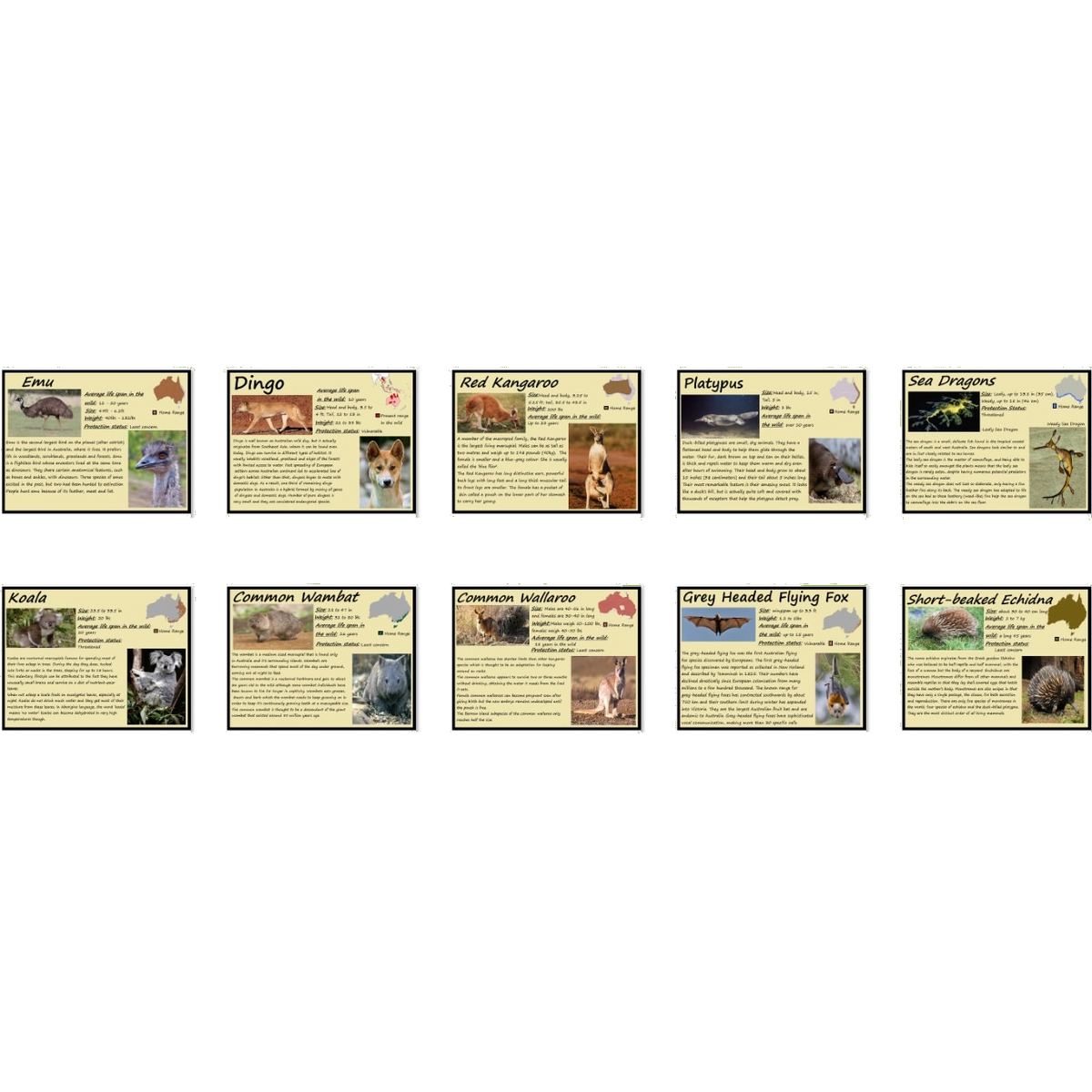 Australian Animal Signs (Kbcoon) | ZT2 Download Library Wiki | Fandom