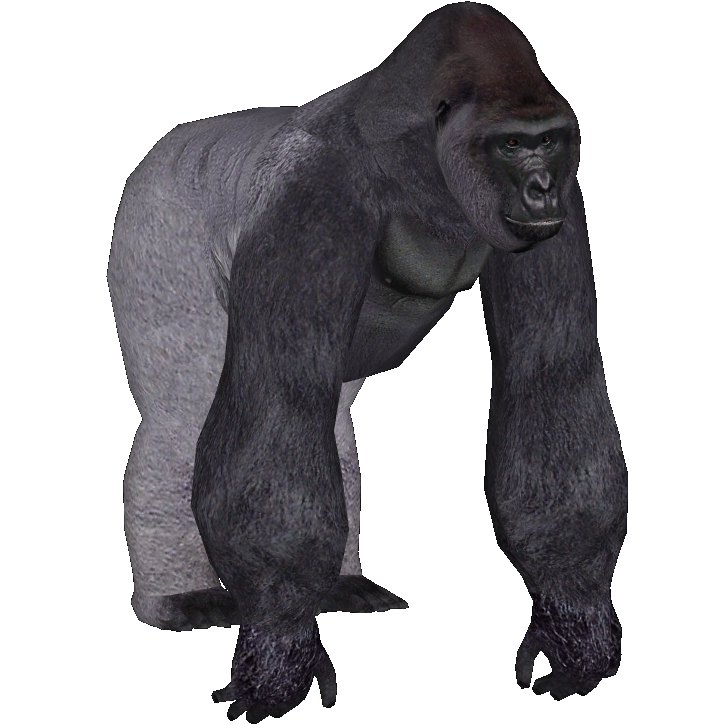 Western Lowland Gorilla (Burnt_Gecko) | ZT2 Download Library Wiki