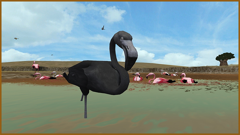 Zoo Tycoon 2 Birds Of Paradise Download - Colaboratory