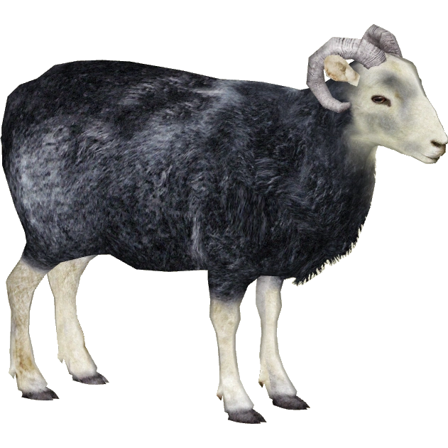 Herdwick Sheep (Milchman, Platypus, RazvanM, Slice & Zoker) | ZT2