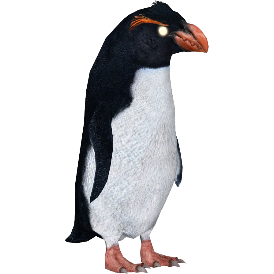 Emperor Penguin and Baby Chick / 8