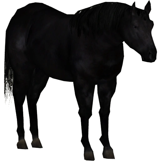 HORSE.Ⅱ2さま latest?cb=20150123224434