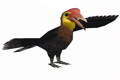 洋書 Hornbill and Dragon Hornbill Dragon - AbeBooks