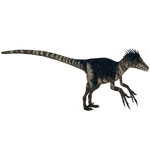Dromaeosaurus (16529950)