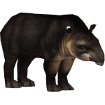 Amazon Tapir (Santi195)