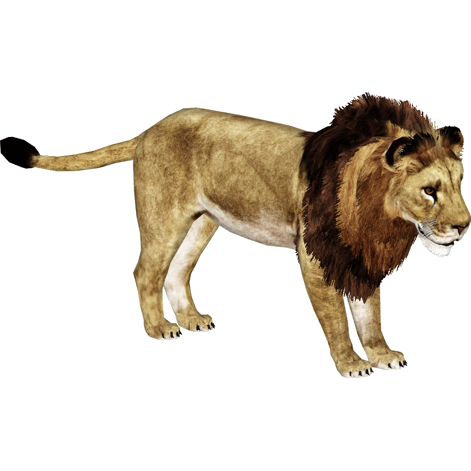 African Lion (Ultamateterex2)/Version 2 | ZT2 Download