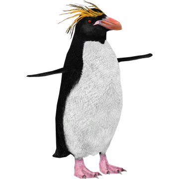 Walking Penguin Box of 12 Random Figures