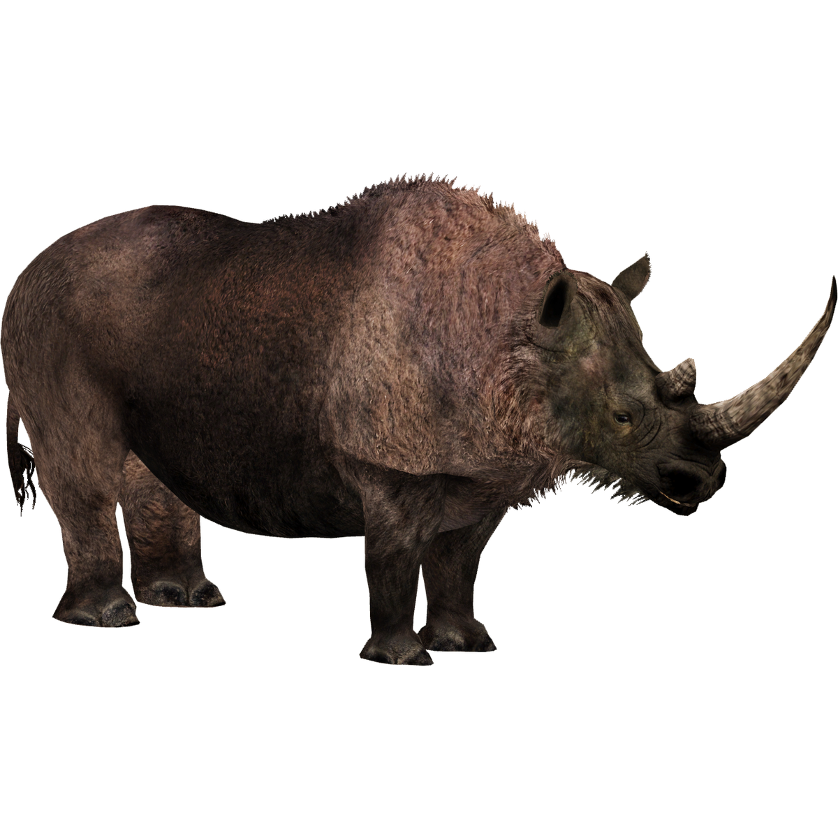 Mammoth Tour (Zoo Tycoon 2 Thailand), ZT2 Download Library Wiki