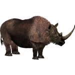 Woolly Rhinoceros (Tyranachu)