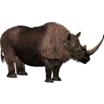 Woolly Rhinoceros (Tyranachu) (1.13 MB) Woolly Rhinoceros (Tyranachu)