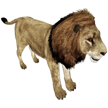 360?cb=20150128073722