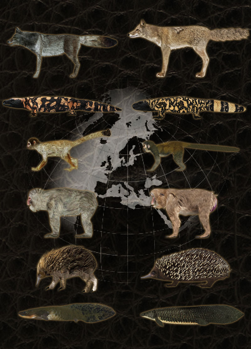 Fauna del Mundo (Hispa Designs), ZT2 Download Library Wiki