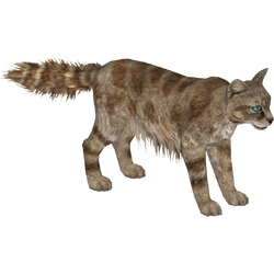 Category:Felines | ZT2 Download Library Wiki | Fandom