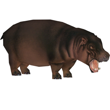 物欲乃塊 】 WILDSWANS LEAF HIPPOPOTAMUS - 小物