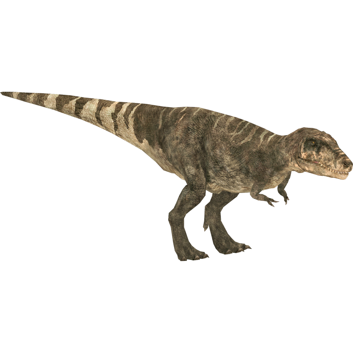 Tarbosaurus (HENDRIX) | ZT2 Download Library Wiki | Fandom