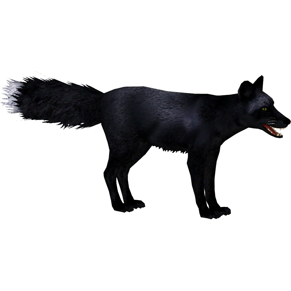 FOXページ MTB Neo Collection. Wireless Suspension & Dropper – RideFOX