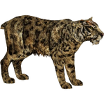 Saber-Toothed Cat (Tyranachu)
