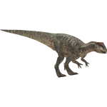 Allosaurus (HENDRIX)