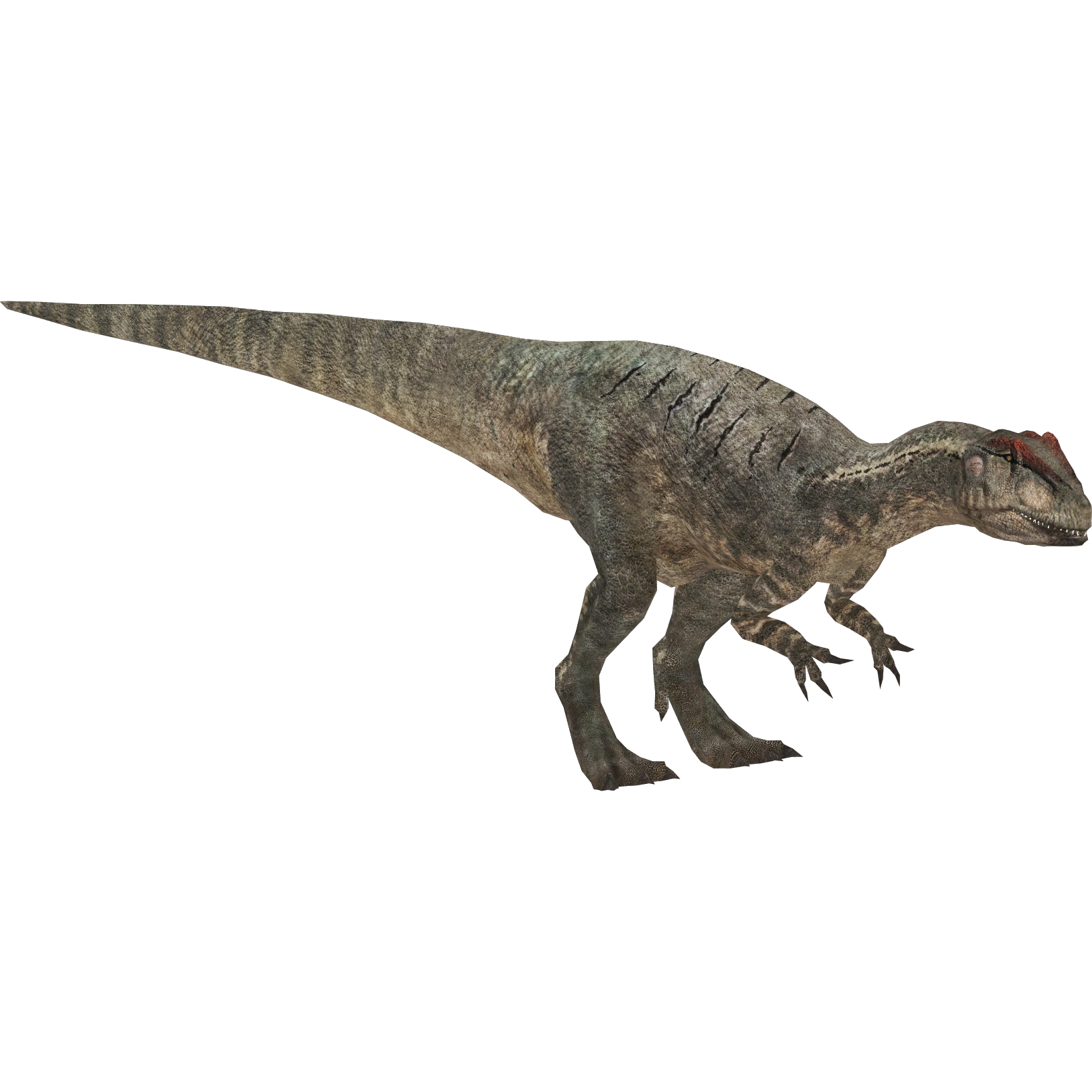 Allosaurus (HENDRIX) | ZT2 Download Library Wiki | Fandom