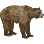 Giant Short-faced Bear (Lgcfm & Ulquiorra)