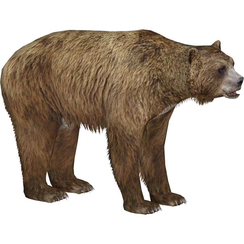  Gigantic Bartholomew Bear絶版96cm Giant Short-faced Bear (Lgcfm & Ulquiorra) | ZT2 Download Library