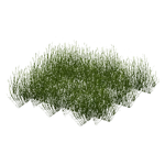 Horned Pondweed (Z-Studio) (367 KB) Horned Pondweed (Z-Studio)