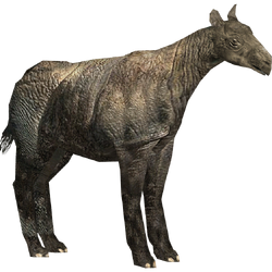 Category:Oligocene Animals | ZT2 Download Library Wiki | Fandom
