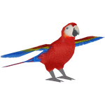 Scarlet Macaw (Maks)