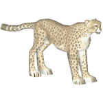 American Cheetah (Mad Head)
