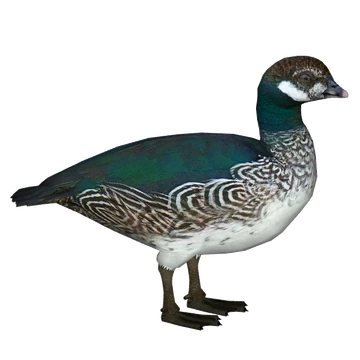 邦楽 blahrmy/duck's moss village レア】BLAHRMY - DUCK'S MOSS VILLAGE Sea Horse Rubber Duck