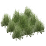 Grass Food (Zoo Tycoon 2 Thailand)