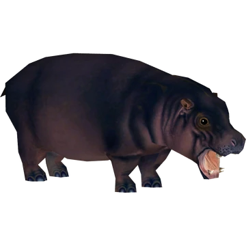 Pygmy Hippopotamus (Blue Fang) | ZT2 Download Library Wiki | Fandom