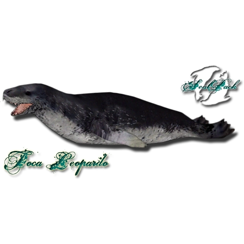 Leopard Seal (Zerosvalmont) | ZT2 Download Library Wiki | Fandom