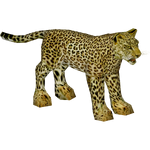 Barbary Leopard (Elephantium Creators Realm)