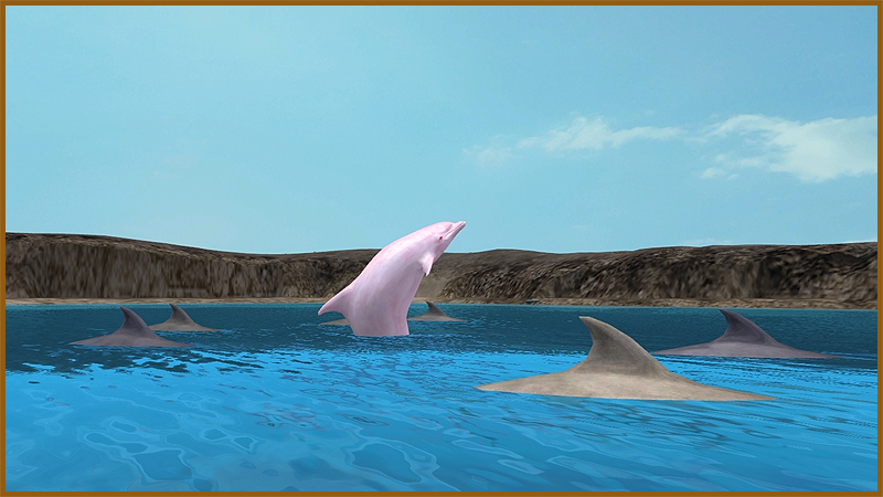 Bottlenose Dolphin (Aurora Designs) | ZT2 Download Library