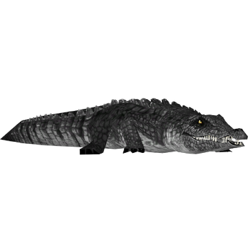 小物 WILDSWANS CROCODILE / GENERAL(SD) BLACK WILDSWANS CROCODILE / GENERAL(SD) BLACK（CROCODILE