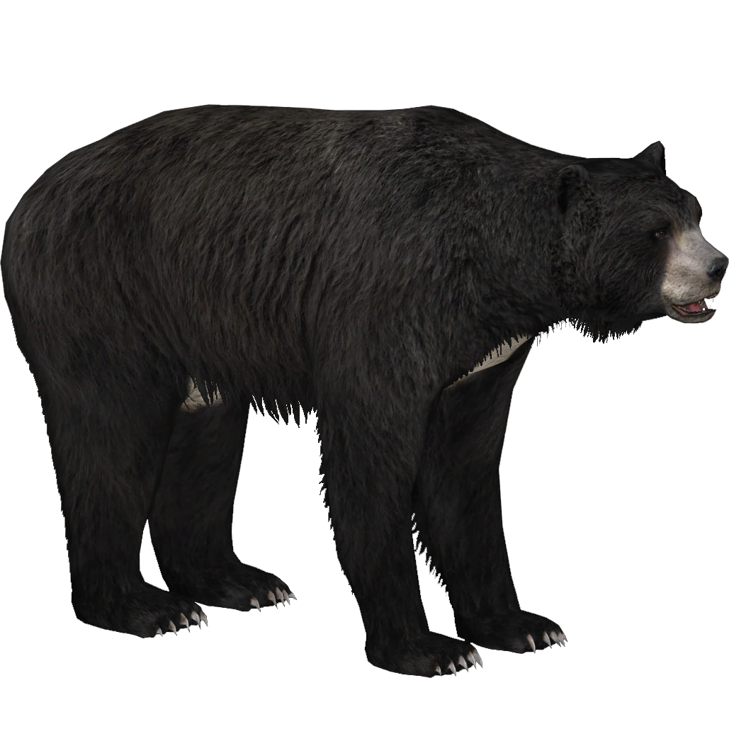 Giant Short-faced Bear (Lgcfm & Ulquiorra) | ZT2 Download Library