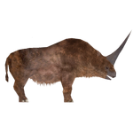 Elasmotherium (Bunyupy & Carlosdino)