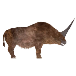 エスピリチュ（2010）　ライノ（RHINO）　T２ファクトリー（ノーマル） Netshop.Too - Rhino 8 商用版: ソフトウェア