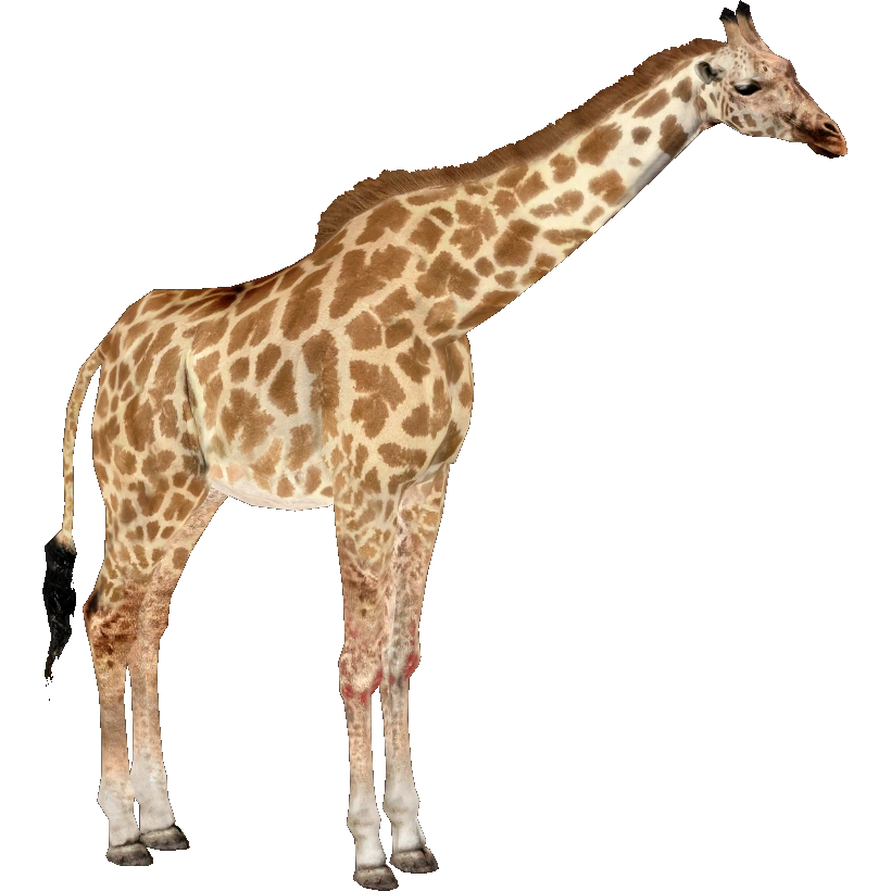 giraffe Clip & Go Giraffe (5060236484222) by Make Believe Ideas