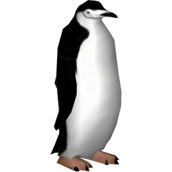 Category:Penguins | ZT2 Download Library Wiki | Fandom