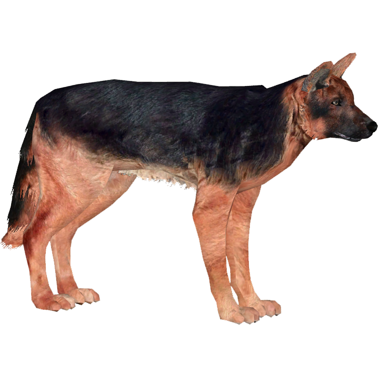 German Shepherd Dog (Burnt_Gecko) | ZT2 Download Library