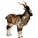 Markhor (Wild Designs) (298 KB) Markhor (Wild Designs)